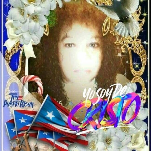 Meet your Posher, Luz - Picture 1 of 1